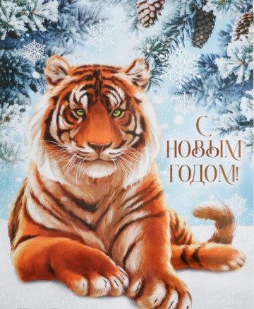 С Новым 2022 годом!